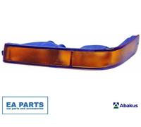 Direction Indicator for MITSUBISHI DELICA ABAKUS 214-1636R-AE fits Right Front