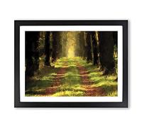 Direction Of The Forest In Abstract Modern Art Framed Print | A3 Black Framed Wall Art | Ready to Hang | Abstract Landscape Picture | Living Room Bedroom Lounge Office