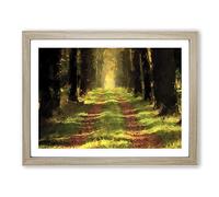 Direction Of The Forest In Abstract Modern Art Framed Print | A4 Oak Framed Wall Art | Ready to Hang | Abstract Landscape Picture | Living Room Bedroom Lounge Office
