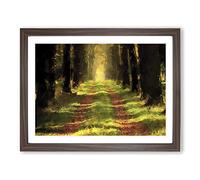 Direction Of The Forest In Abstract Modern Art Framed Print | A4 Walnut Framed Wall Art | Ready to Hang | Abstract Landscape Picture | Living Room Bedroom Lounge Office