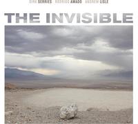 Dirk Serries/Rodrigo Amado/Andrew Lisle The Invisible (CD) Album