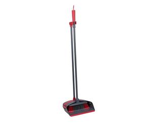 Dirt Devil Dustpan set with long handle, grey, red, normal