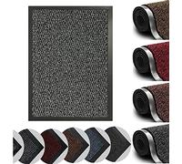 Dirt Trapper Door Mat for Indoor&outdoor, Washable Barrier Door Mat, Heavy Duty Non-Slip Entrance Rug Shoes Scraper, Super Absorbent Front Door Mat Carpet (40 x 60 cm, Silver Grey)