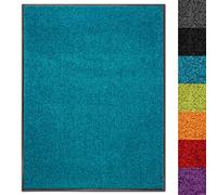Dirt Trapper Use&Wash Washable Door Mat, Absorbent Entrance Runner for Indoor & Outdoor, Dust Control Floor Mat, Non-slip Hallway Runner (120 x 300 cm, Turquoise 27)
