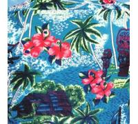 Dirty Beatniks - One One Seven In The Shade