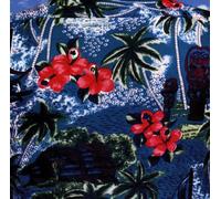 Dirty Beatniks - One One Seven in the Shade