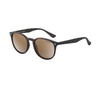 Dirty Dog RACOON - Satin Tortoise with Polarized Brown Lens - 51.9