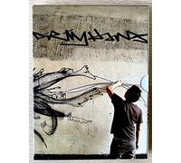 Dirty Hands: The Art And Crimes Of David Choe DVD