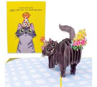 Dirty Pop Purr-fect Pop Up Birthday Card, 3D Cat Farting Confetti Funny Bday Card for Cat Mom or Dad, 1 Notepaper, 1 Envelope