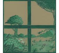 Dirty Projectors & David Longstreth & Stargaze - Song Of The Earth [VINYL]