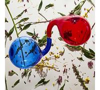 Dirty Projectors - Dirty Projectors Lamp Lit Prose [VINYL]
