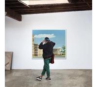 Dirty Projectors - Flight Tower [VINYL]