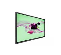 Dis Public 65 Philips 65BDL4052E/00 E-Line