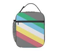 Disability Pride Flag Portable Lunch Bag Reusable Zipper Closure Leakproof Lunch Box for Work Office Picnic
