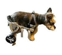 Disabled Pet Wheelchair - Adjustable Rear Leg Support for Dogs/Cats, EVA Quiet Wheels & Customizable Size (XS - L), Mobility Solution for Injured Pets(L)