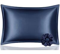DISANGNI 100% Mulberry Silk Pillowcase for Hair and Skin, Envelope Type, One Side Real Silk (Blue, Queen 50x75cm)