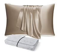 DISANGNI 100% Natural Mulberry Silk Pillow case for Hair and Skin with Hidden Zipper 22 Momme Both Sides Real Silk Pillow Case (1pc 40x70cm, Taupe)