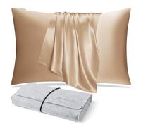DISANGNI 100% Natural Mulberry Silk Pillow case for Hair and Skin with Hidden Zipper 22 Momme Both Sides Real Silk Pillow Case (1pc 50x80cm, Gold)