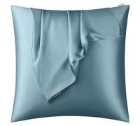 DISANGNI 100% Natural Mulberry Silk Pillow case for Hair and Skin with Hidden Zipper 22 Momme Both Sides Real Silk Pillow Case (1pc 60x60cm, Blue Gray)