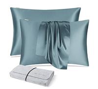 DISANGNI 100% Natural Mulberry Silk Pillow case for Hair and Skin with Hidden Zipper 22 Momme Both Sides Real Silk Pillow Case (2pc 51x66cm, Blue Gray)