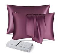 DISANGNI 100% Natural Mulberry Silk Pillow case for Hair and Skin with Hidden Zipper 22 Momme Both Sides Real Silk Pillow Case (2pc 50x75cm, Purple)