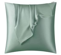 DISANGNI 100% Natural Mulberry Silk Pillow case for Hair and Skin with Hidden Zipper 22 Momme Both Sides Real Silk Pillow Case (1pc 40x40cm, Light Green)
