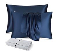 DISANGNI 100% Natural Mulberry Silk Pillow case for Hair and Skin with Hidden Zipper 22 Momme Both Sides Real Silk Pillow Case (2pc 50x75cm, Blue)