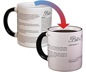 Disappearing Civil Liberties Coffee Mug - Add Hot Water and Watch Your Civil Liberties Disappear Before Yours Eyes - Comes in a Fun Gift Box