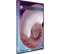 Disc 6. Understanding the Fibonacci Ratio in Financial Markets