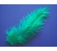 DISC - DISC -LAST FEW - 24 Assorted Green Marabou Feathers for Crafts