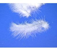 DISC - LAST FEW - 24 Assorted White Marabou Feathers for Crafts