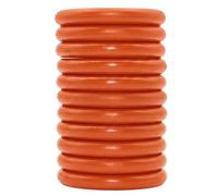 Discbound Planner Discs 11-Pack, 1" Plastic Binding Rings, Orange Tiger, Compatible with Happy Planner, Arc, Atoma & Discbound Notebooks