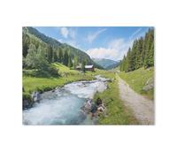 Dischmatal Davos，Jigsaw Puzzles Puzzles for Adults Kids. 1000 Piece Impossible Challenge Toy Educational Game Home Decoration for Adults& Kids Age 14 Years Up 1000pcs（75x50cm）-AA10