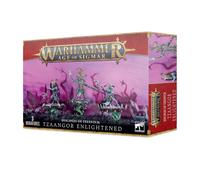 Disciples of Tzeentch Tzaangor Enlightened | Warhammer Age of Sigmar