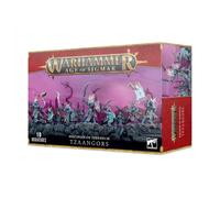 Disciples Of Tzeentch Tzaangors