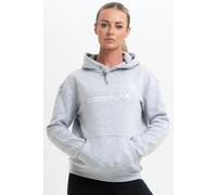 Discipline 365 BRANDED Grey Hoodie - L