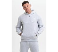 Discipline 365 BRANDED Grey Hoodie - L