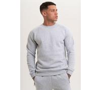 Discipline 365 Men's Discipline Crew Neck Sweatshirt with Embroidery in Light Grey | Size: Extra Large Discipline 365 Light Grey Extra Large