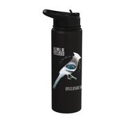 Disclosure Day All Will Be Disclosed Eye Stainless Steel Insulated Water Bottle