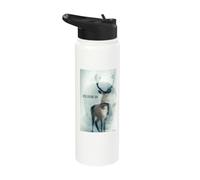 Disclosure Day Eye and Silhouette Stainless Steel Insulated Water Bottle