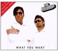 Disco Boys, the - What You Want