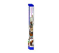 Discover Greek Mythology (Wonders of Learning Wall Chart)