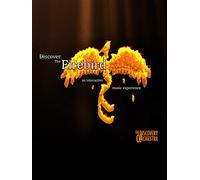 Discover The Firebird