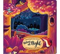Discovering the Hidden World of Nature at Night (Happy Fox Books) Board Book for Kids Ages 2 to 5 to Learn About Nocturnal Forest Animals - Extra-Thick Board Pages, Fun Facts, and Vocabulary Words