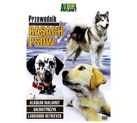 Discovery - Breed All About It [DVD] [Region 2] (English audio)