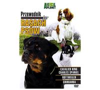 Discovery - Breed All About It [DVD] [Region 2] (English audio)