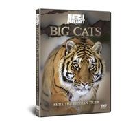Discovery Channel: Big Cats - Amba The Russian Tiger [DVD]