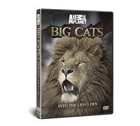 Discovery Channel: Big Cats - Into The Lion's Den [DVD]