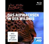 Discovery HD: Der kleine Leopard - Das Aufwachsen in der Wildnis