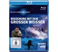 Discovery HD: Jeff Corwin - Begegnung mit dem grossen Weißen